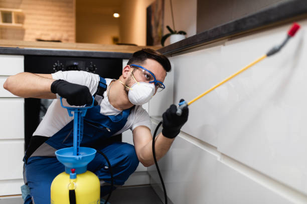 Best Wasp Removal Services  in Prospect, KY